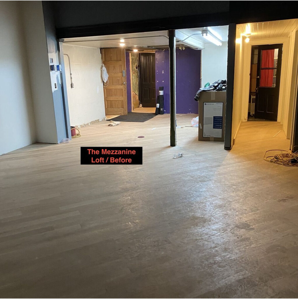 Image showcasing Loft Apartment Renovation Project Overview - Mendez Manor