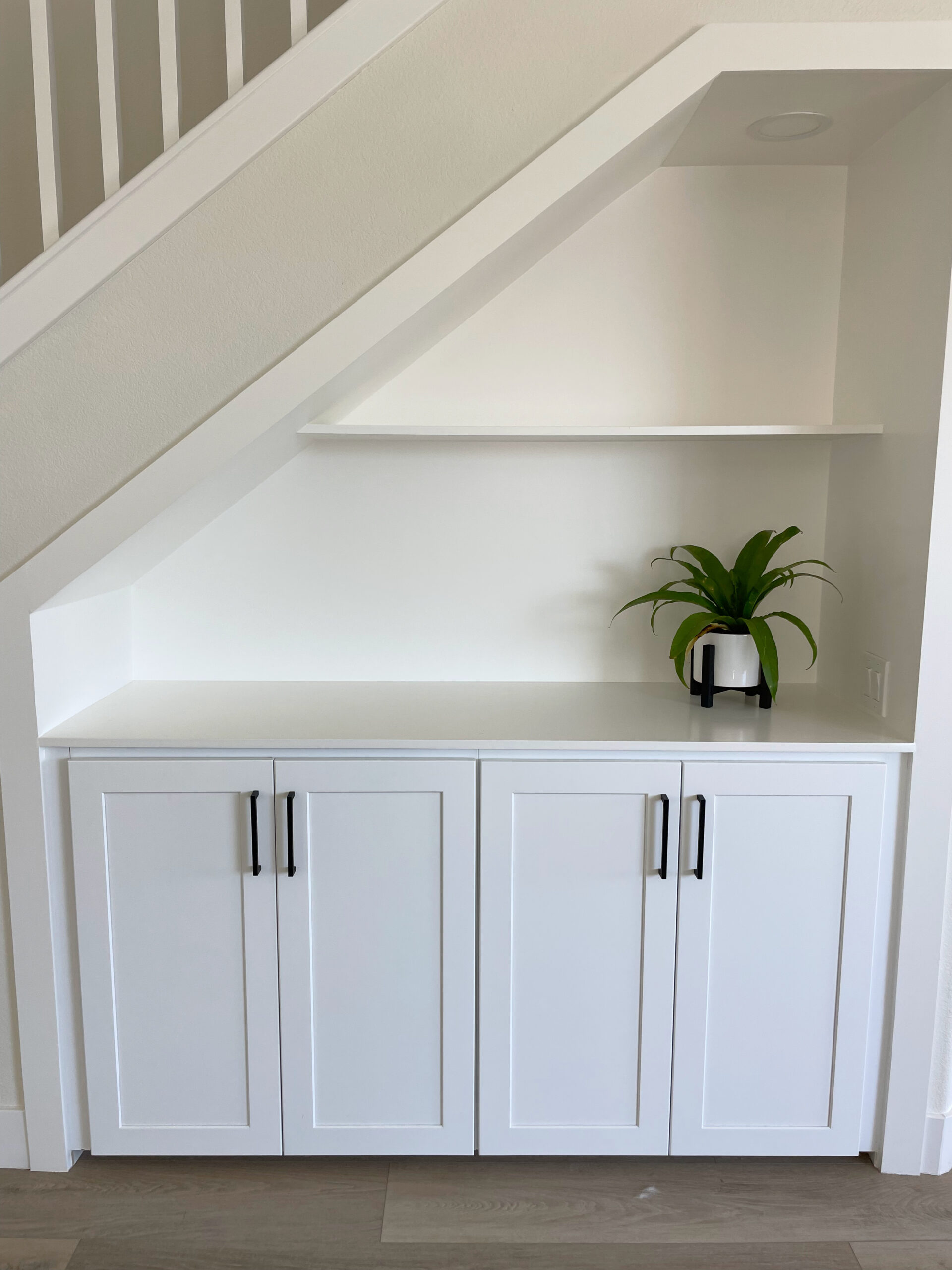 custom built-in storage cabinet