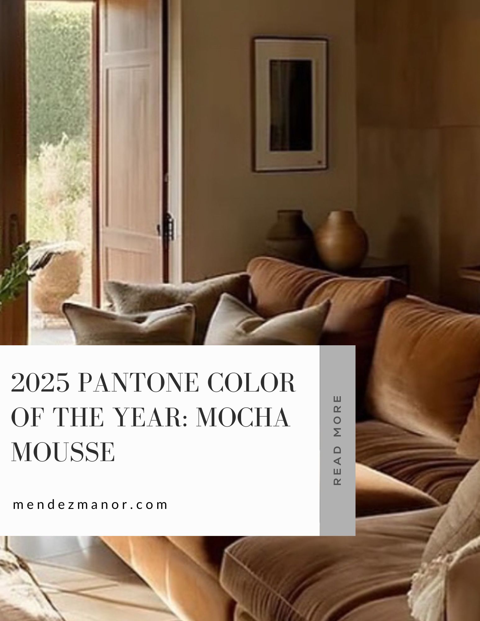 2025 Pantone Color of The Year Mocha Mousse Mendez Manor